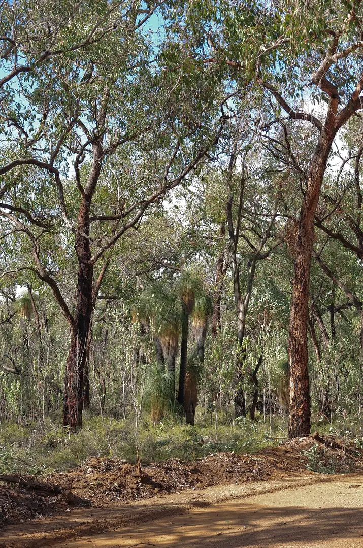 Avon Valley National Park
