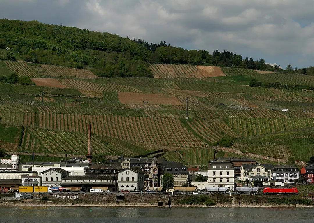 Bahnhof Rüdesheim (Rhein)