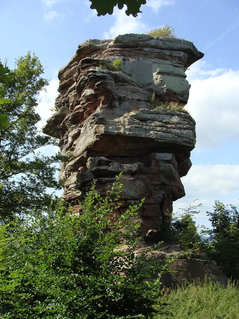 Anebos
