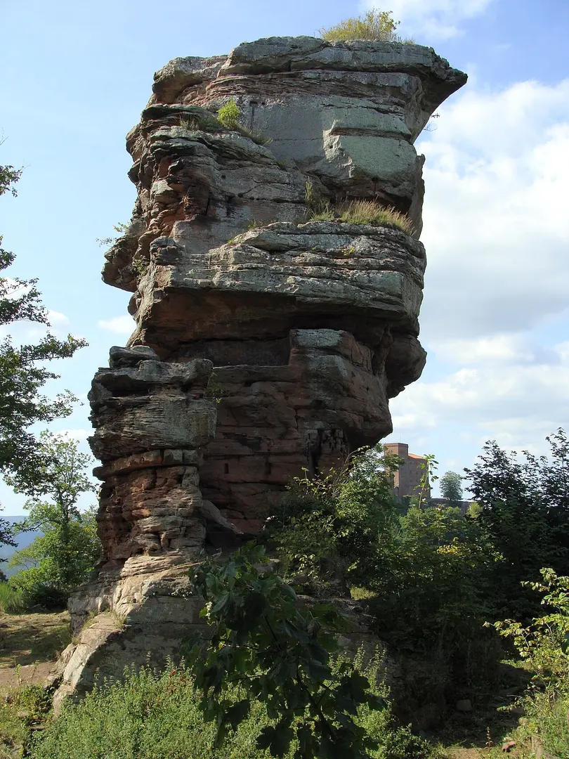 Anebos