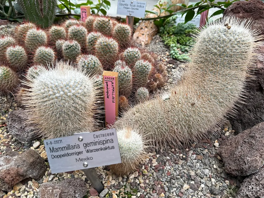 Botanischer Garten
