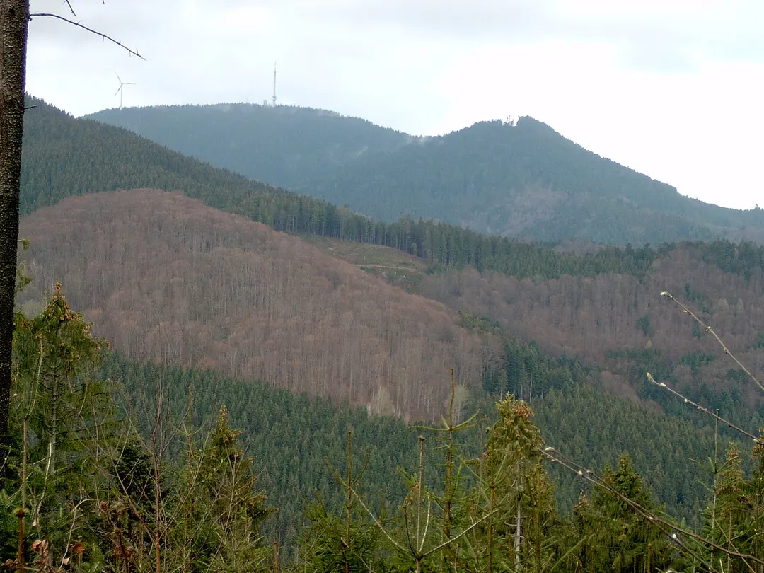 Brandenkopf