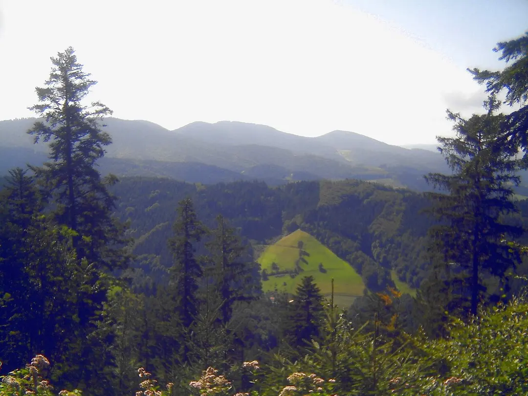 Brandenkopf