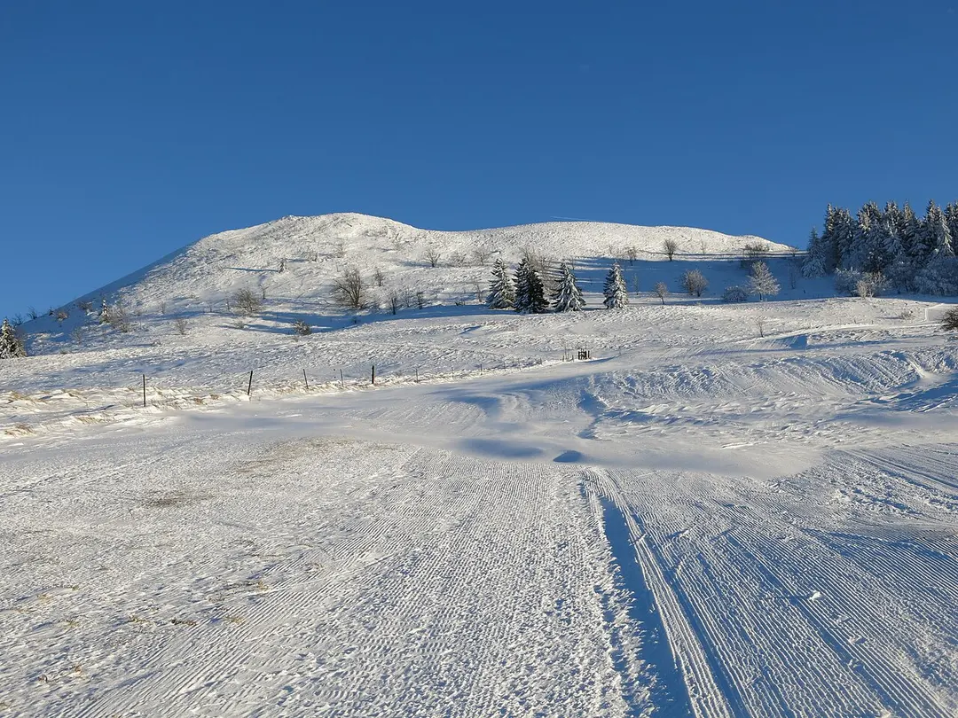 Abtsrodaer Kuppe