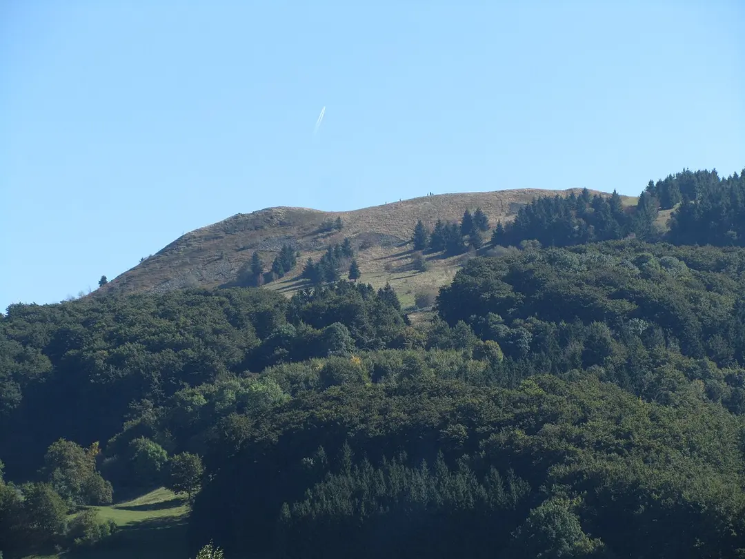 Abtsrodaer Kuppe