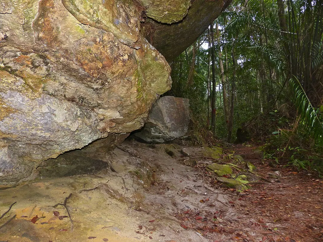 Bako National Park