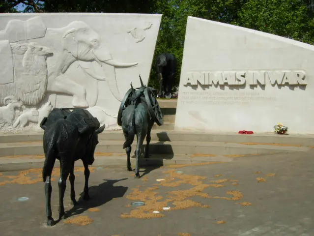 Animals in War