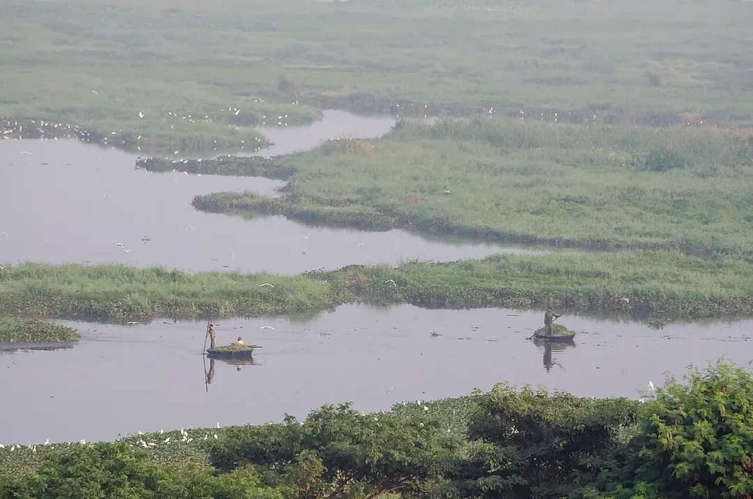 Bellandur Tank