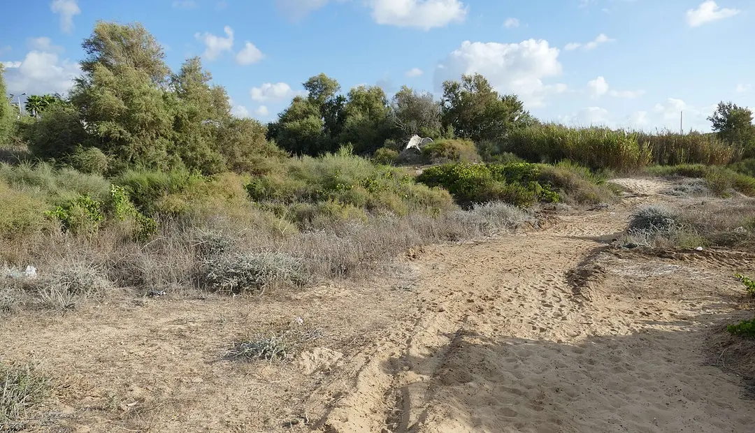 Ashdod-Yam Citadel