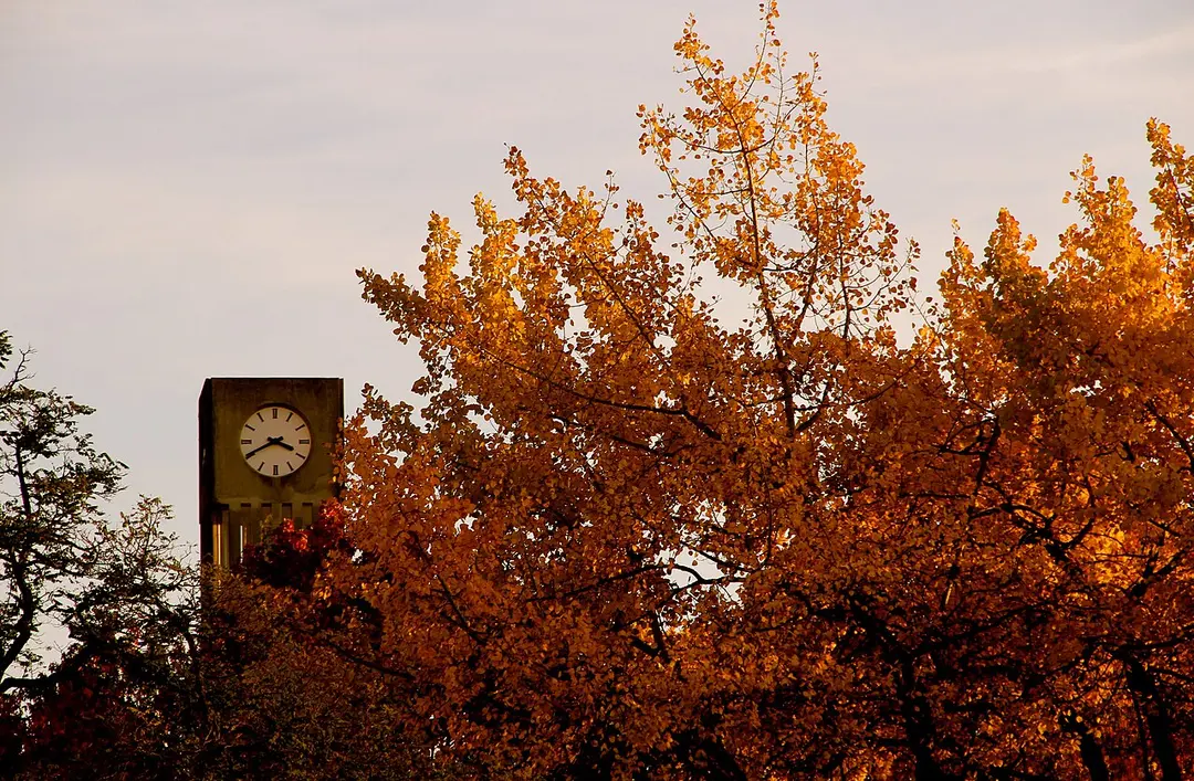 Irving K. Barber Learning Centre