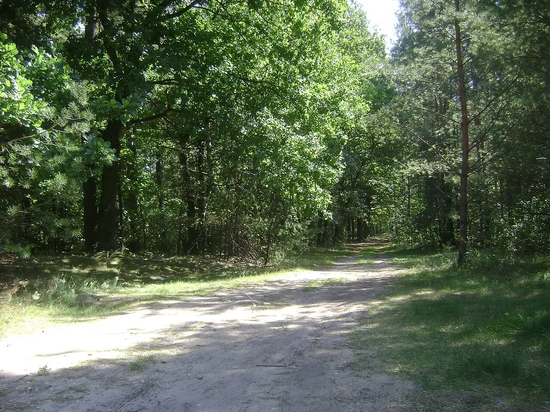 Chojnowski Park Krajobrazowy