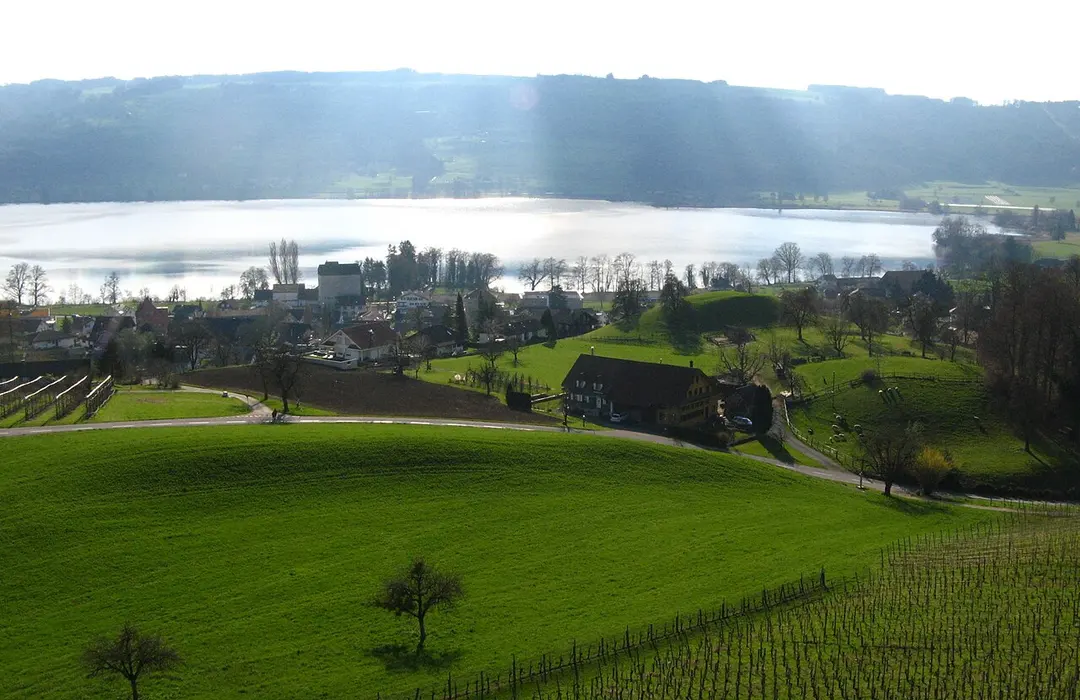 Baldeggersee