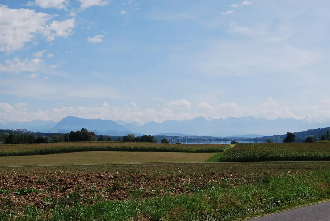 Baldeggersee