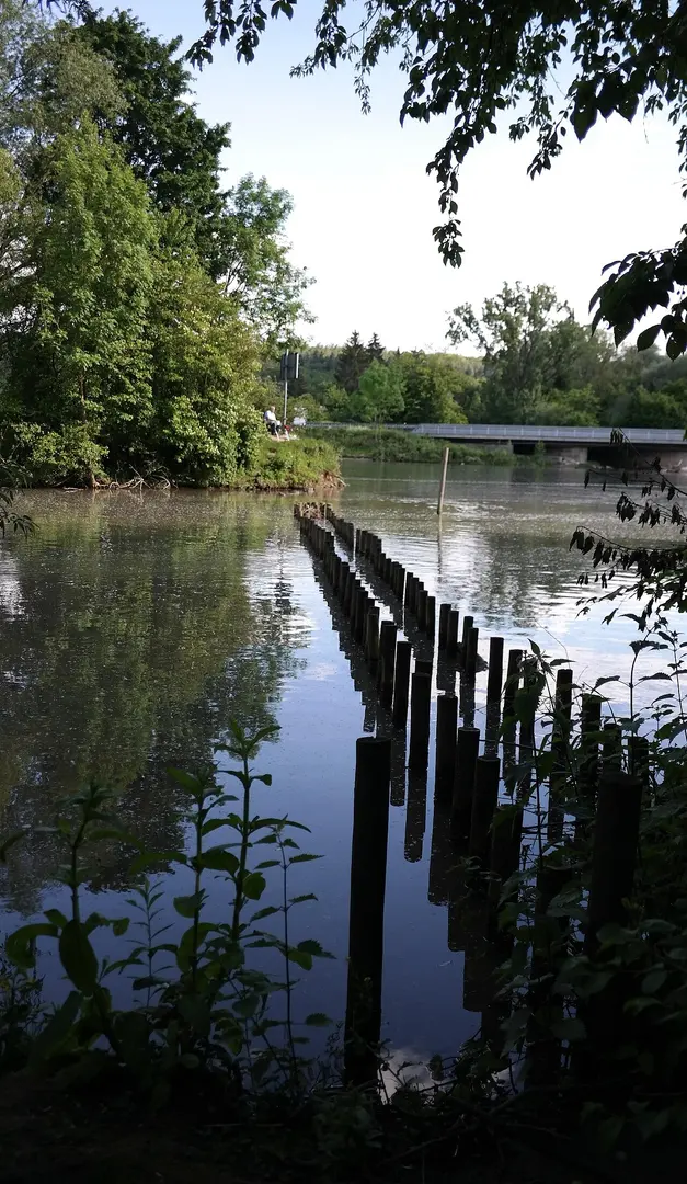 Alter Neckar