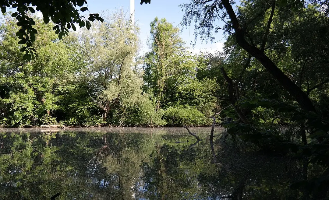Alter Neckar