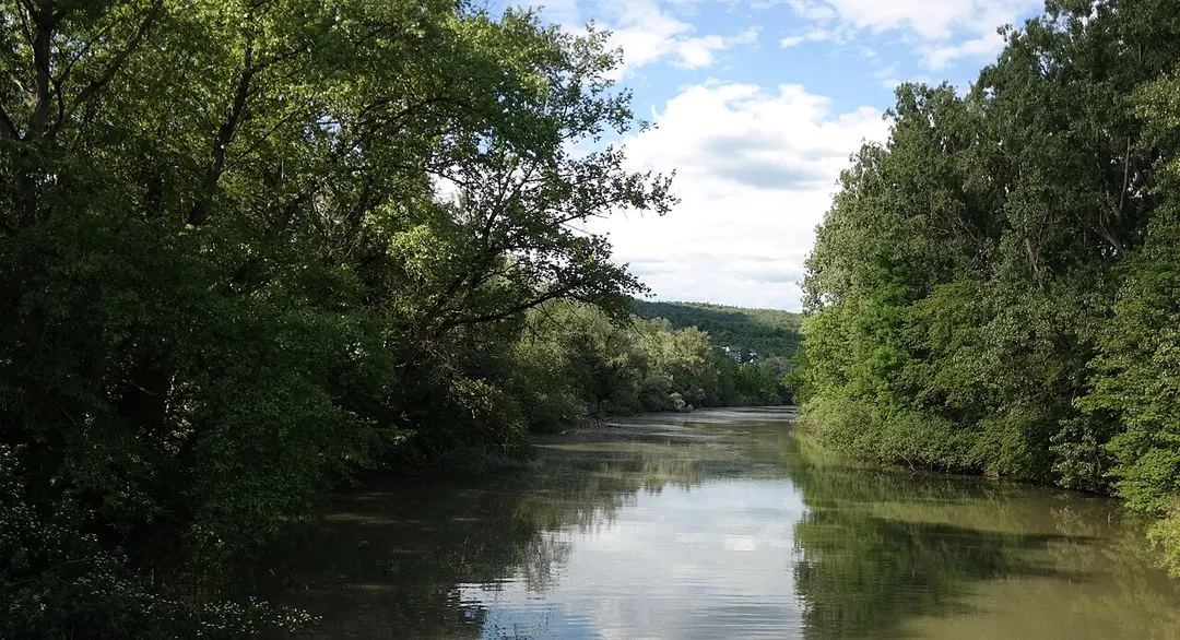 Alter Neckar