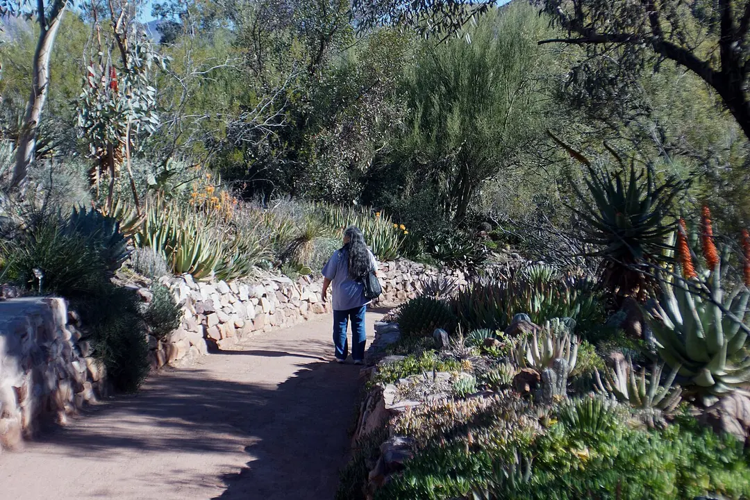 Boyce Thompson Arboretum