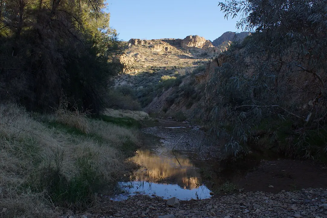 Boyce Thompson Arboretum