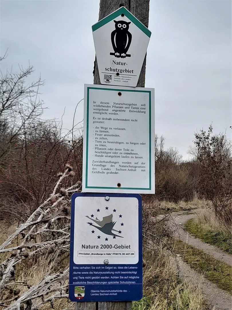 Brandberge