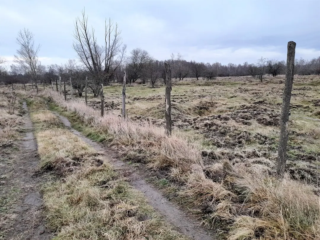Brandberge