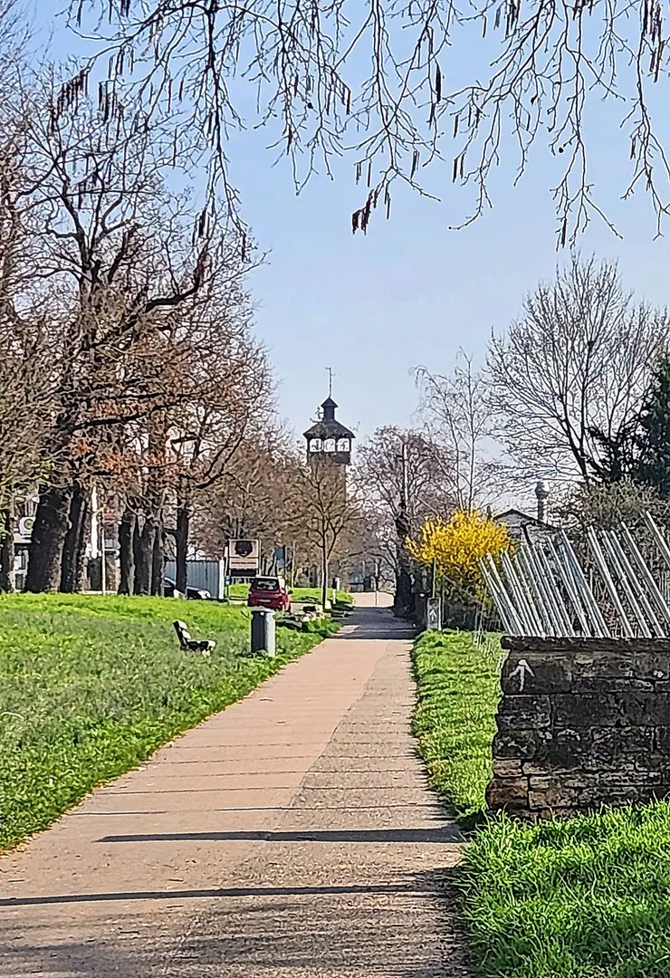 Aussichtsturm Burgholzhof