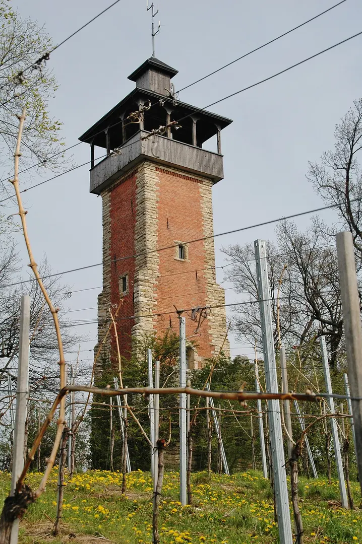 Aussichtsturm Burgholzhof