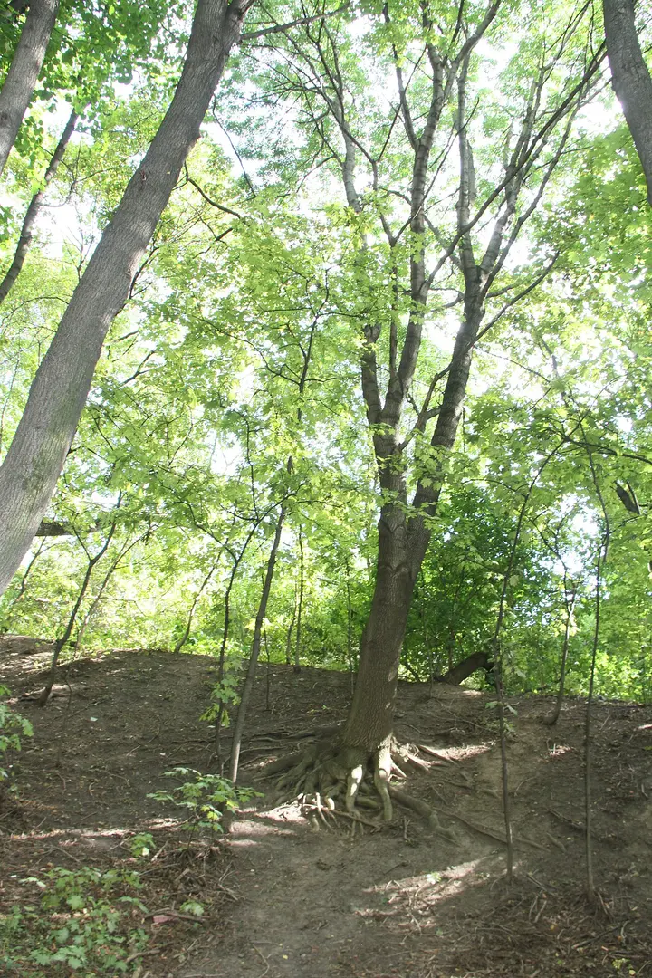 Park Sperlingsberge