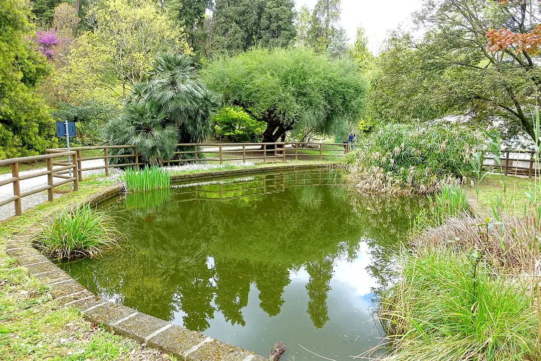 Botanischer Garten