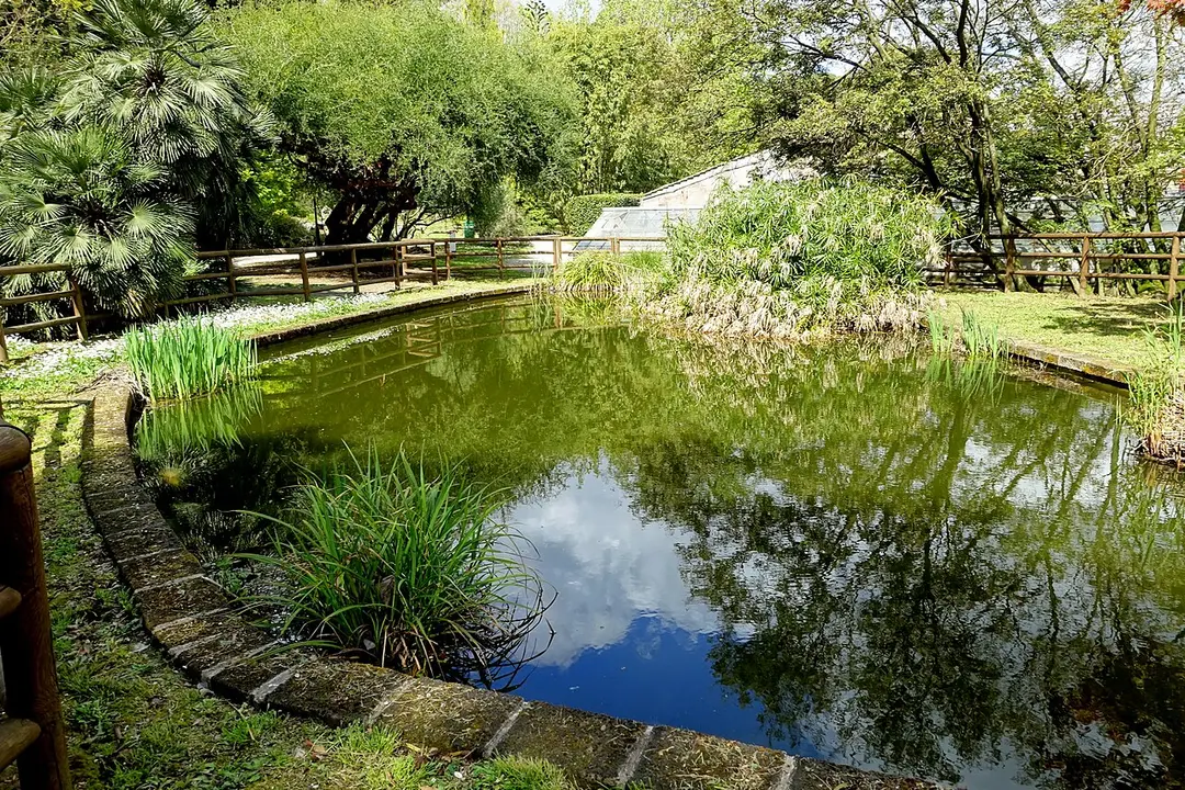 Botanischer Garten
