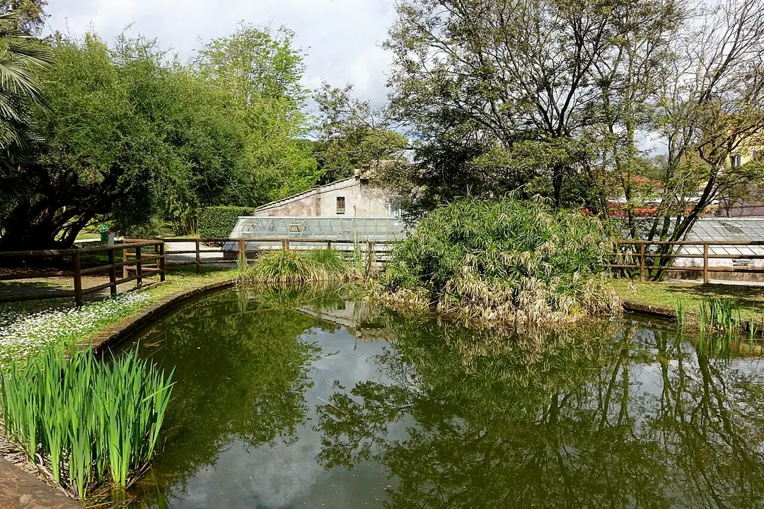 Botanischer Garten