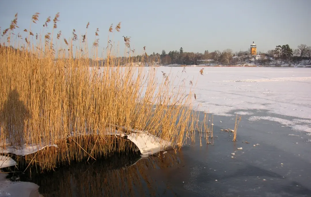 Hagaparken