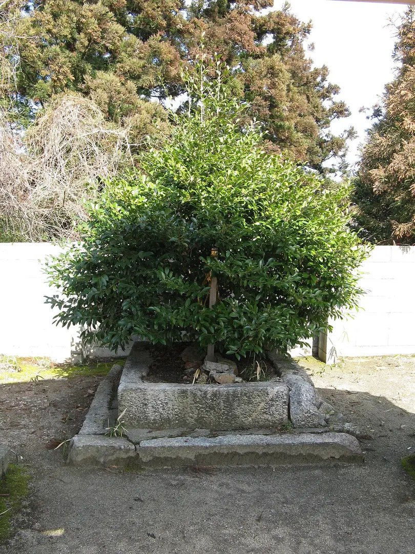 Katsuragi Futagami Shrine