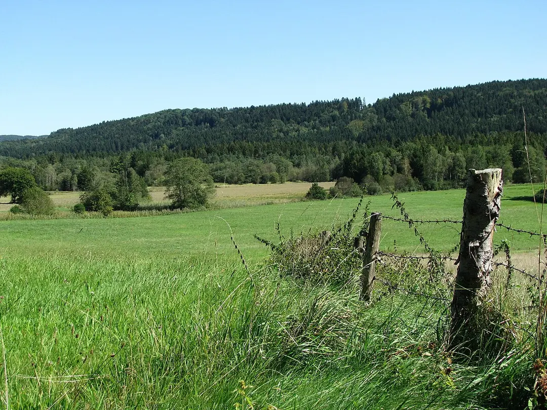Zellbachtal