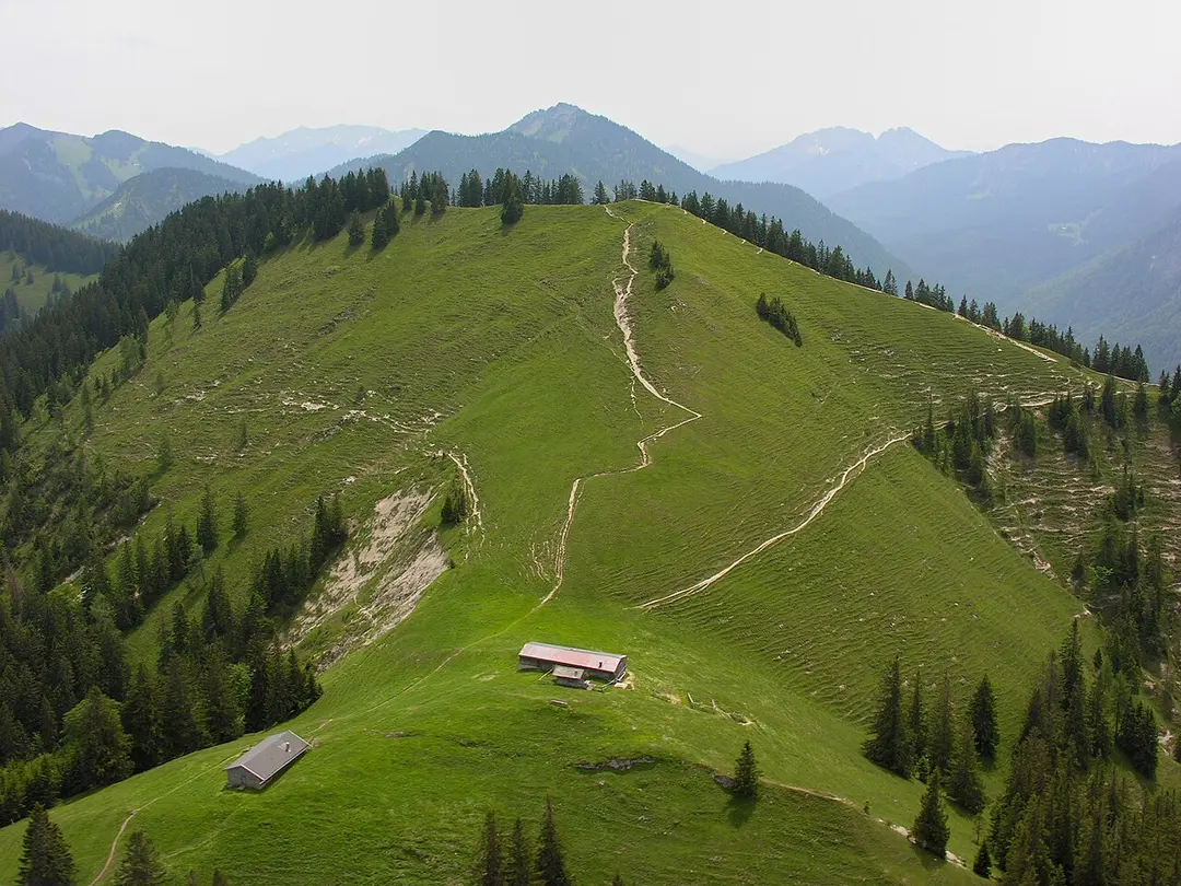 Baumgartenschneid