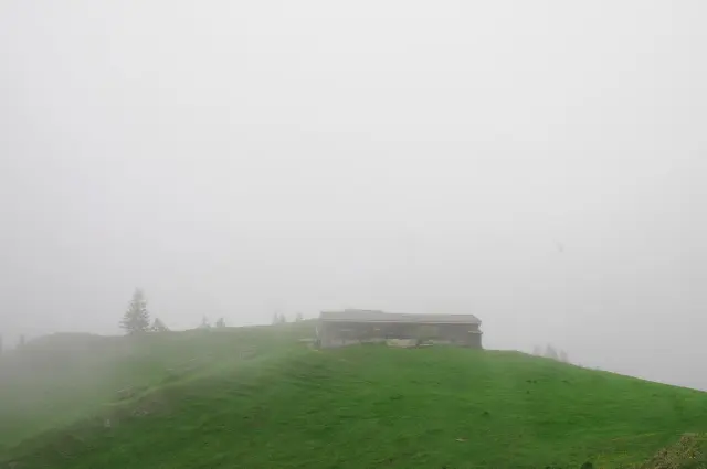 Baumgartenschneid