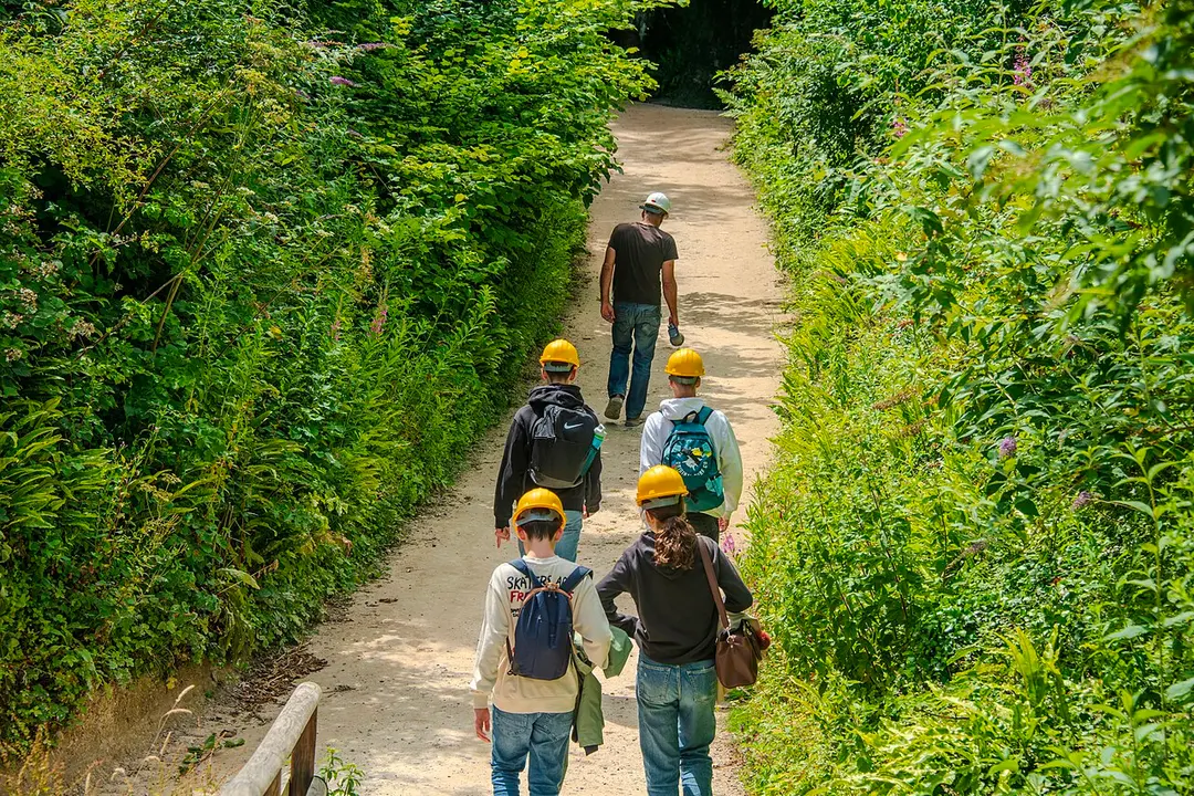 Beer Quarry Caves