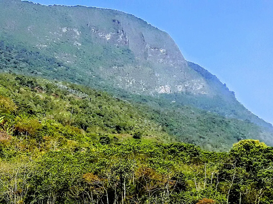 Área Natural de Manejo Integrado Cotapata