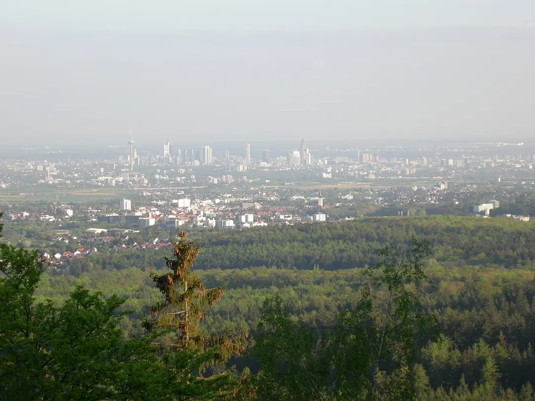 Bleibeskopf