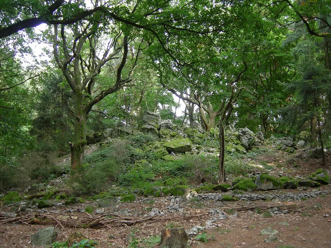 Bleibeskopf
