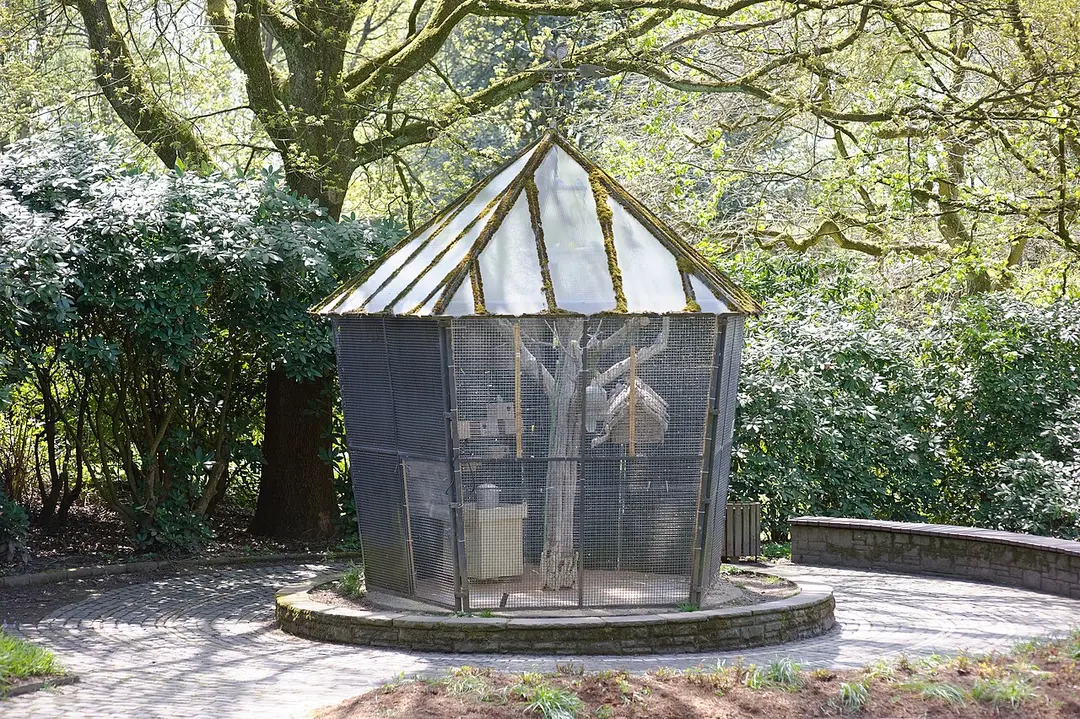 Botanischer Garten Solingen