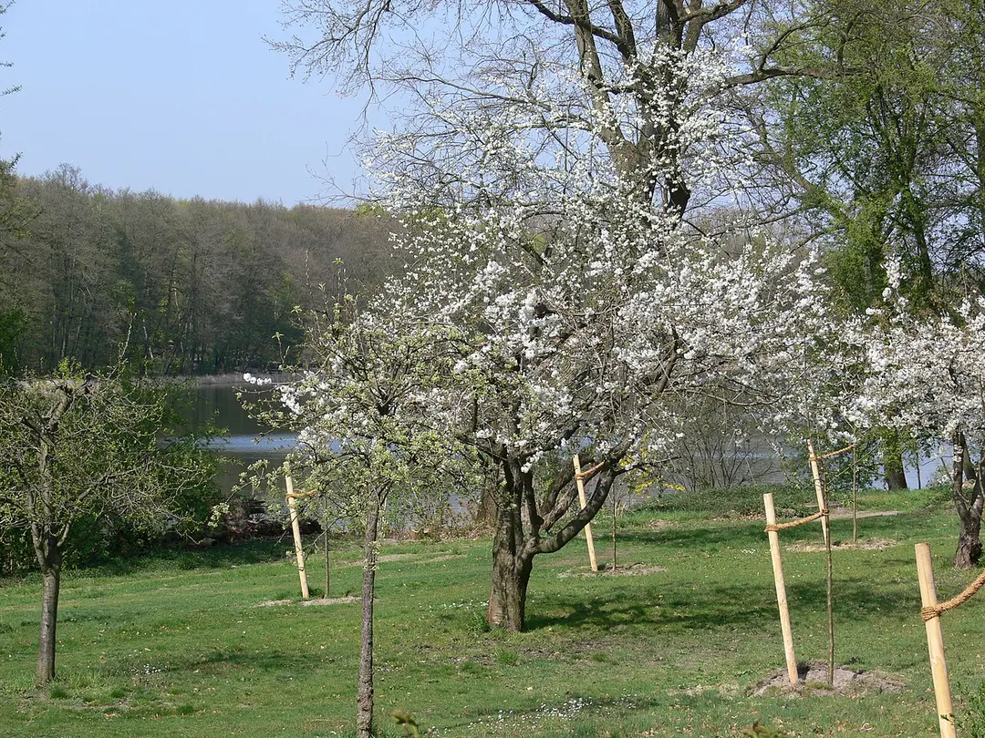 Grunewaldsee