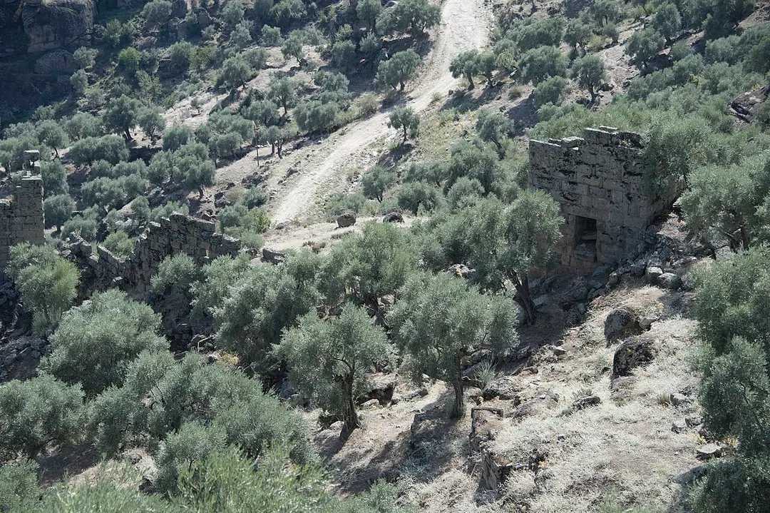 Alinda