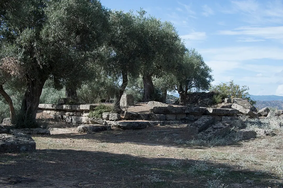 Alinda