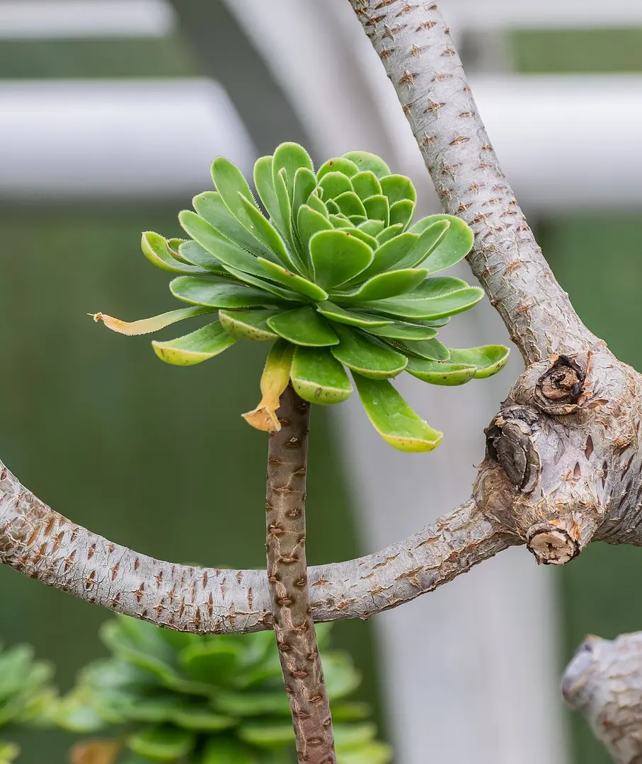 Botanischer Garten