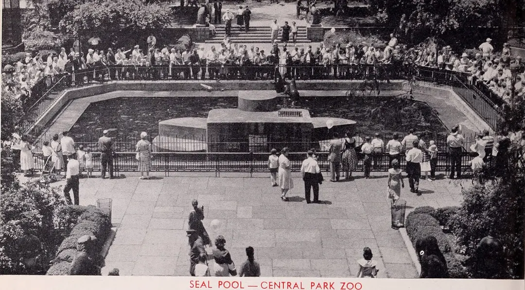 Central Park Zoo