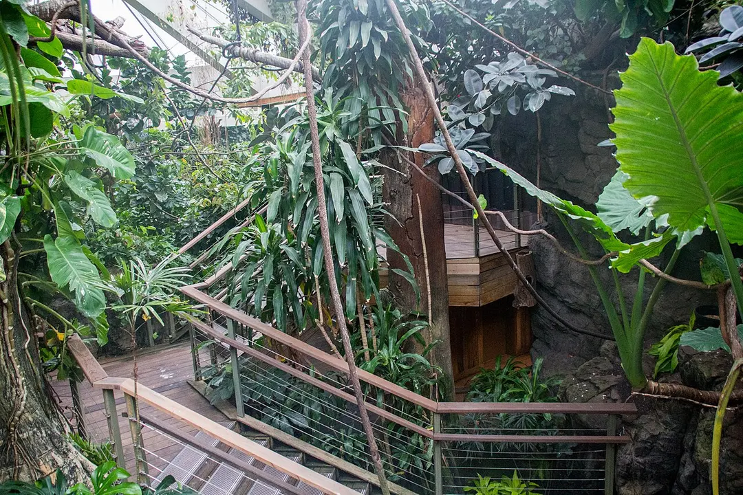 Central Park Zoo