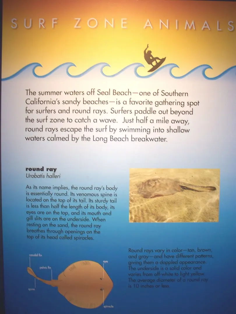 Aquarium of the Pacific
