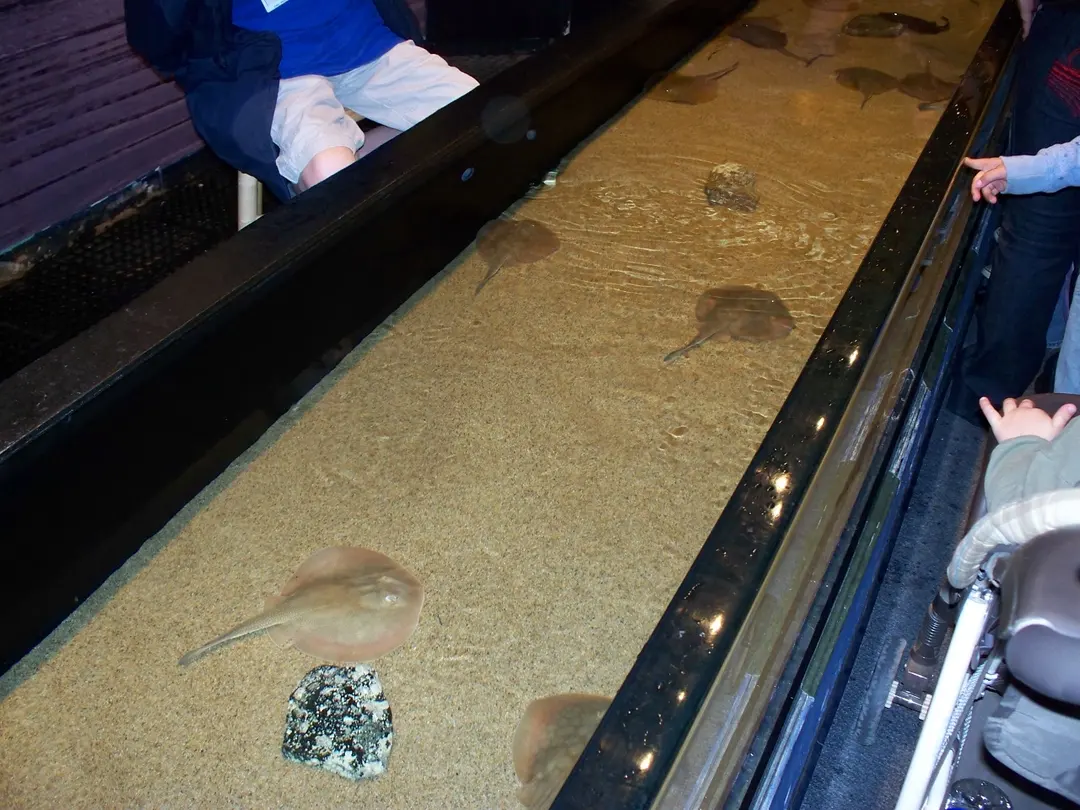 Aquarium of the Pacific