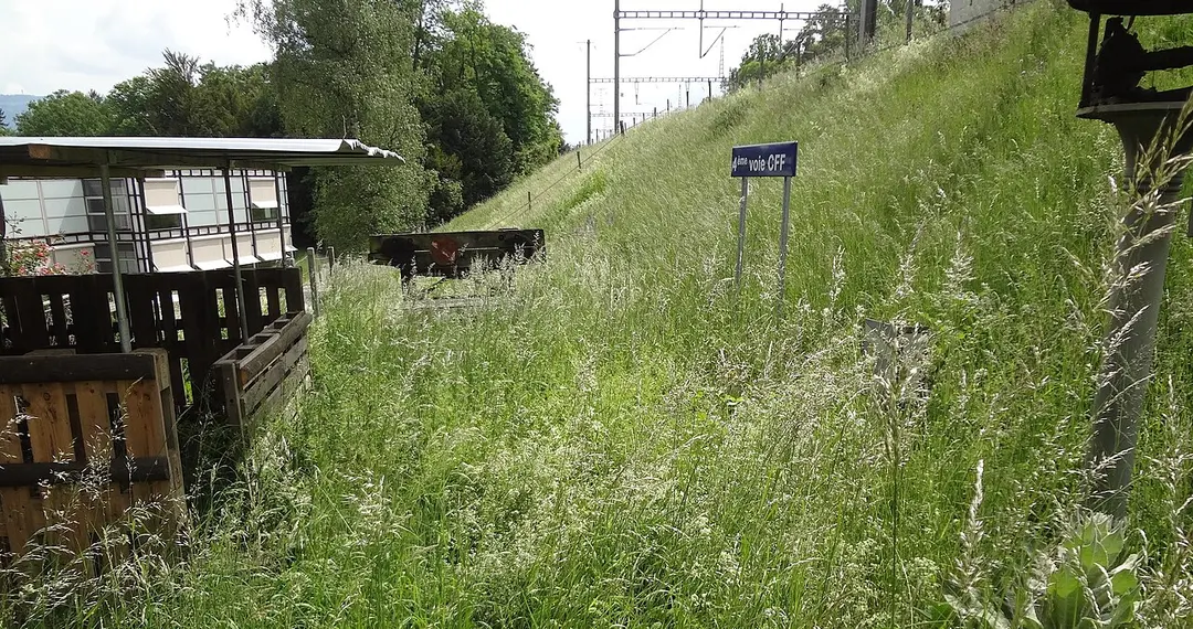 Botanischer Garten Genf