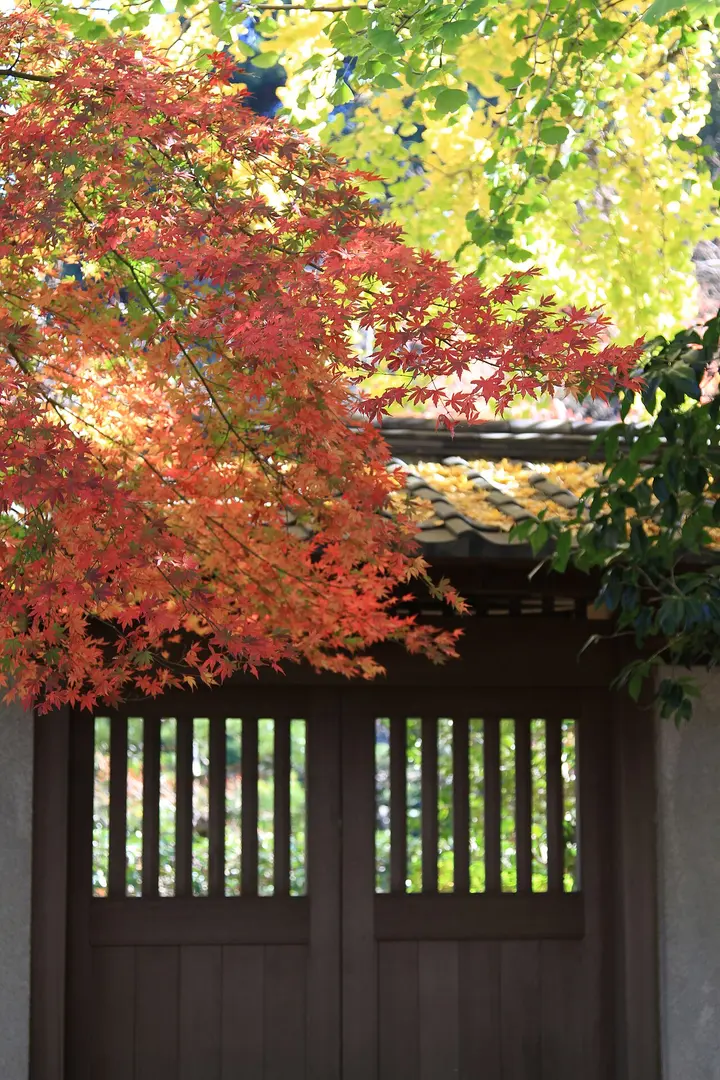 高徳院